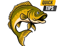 Pet Shampoo (Aloe Vera Scent)